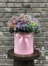 Цветочная композиция из Гипсофила и Розы в шляпной коробке в Мирный Самарская область
