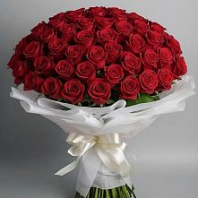 Букет 101 Красная роза Блэк Мэджик в Мирный Самарская область