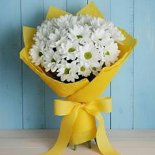 Букет цветов из:  Хризантемы в Мирный Самарская область