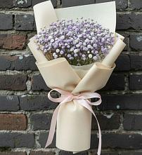 Букет цветов из:  Гипсофила #REPLACE_PRED# Мирный Самарская область
