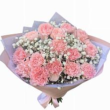 Букет цветов из:  Гвоздики #REPLACE_PRED# Мирный Самарская область