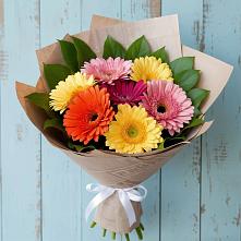 Букет цветов из:  Герберы в Мирный Самарская область