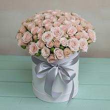 Цветочная композиция из Розы в шляпной коробке в Мирный Самарская область