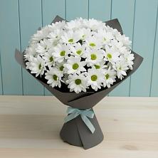 Букет цветов из:  Хризантемы в Мирный Самарская область