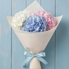 Букет цветов из:  Гортензия #REPLACE_PRED# Мирный Самарская область