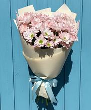 Букет цветов из:  Хризантемы в Мирный Самарская область