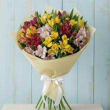 Букет цветов из:  Альстромерии в Мирный Самарская область
