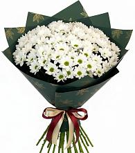 Букет цветов из:  Хризантемы в Мирный Самарская область