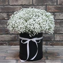 Цветочная композиция из Гипсофила в шляпной коробке в Мирный Самарская область