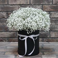 Цветочная композиция из Гипсофила в шляпной коробке в Мирный Самарская область