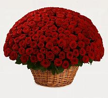 Премиум букет из: Розы в Мирный Самарская область