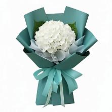 Букет цветов из:  Гортензия в Мирный Самарская область